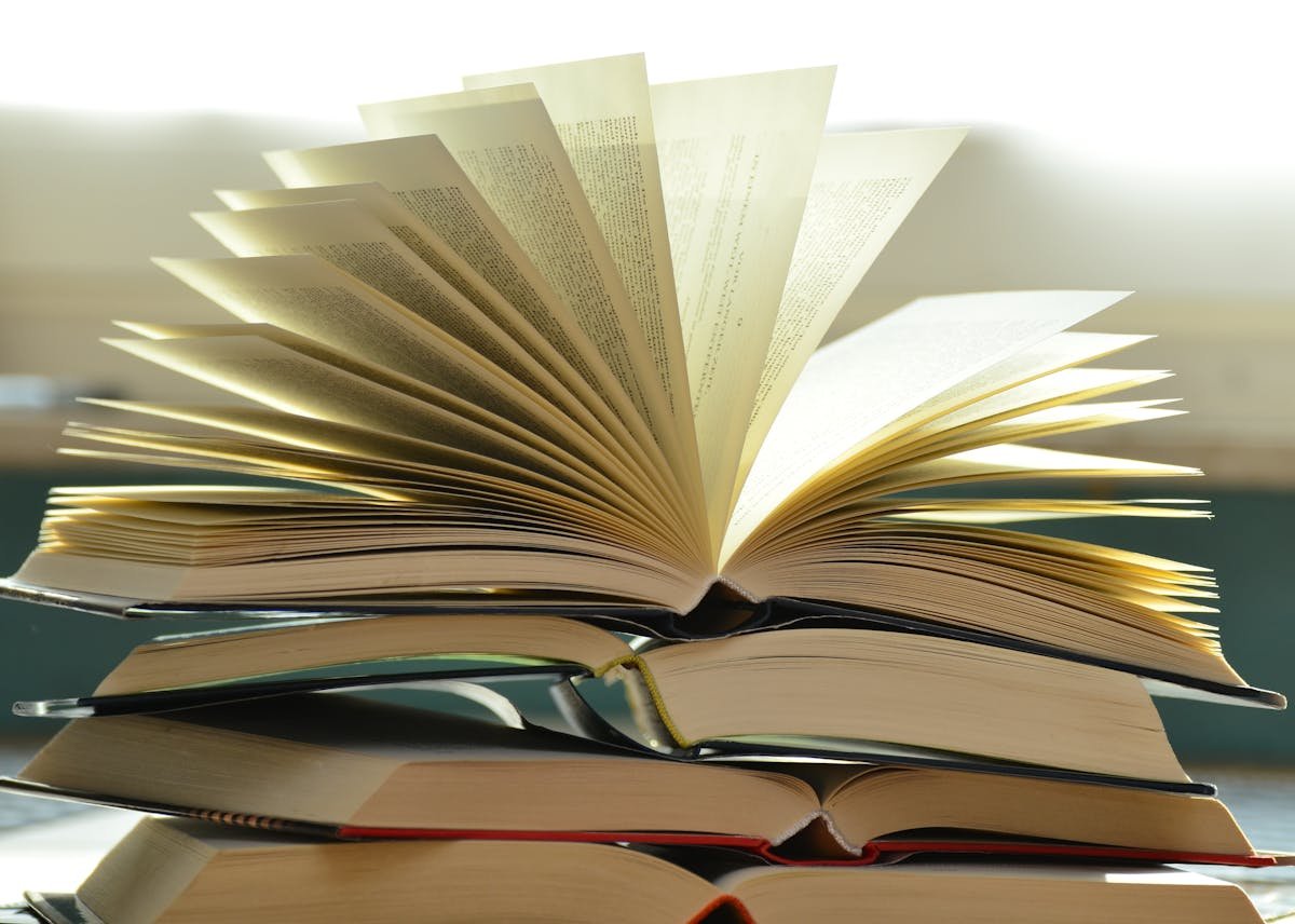 10 Best Manifestation Books You Must Read in 2025 (Don’t Waste Time on Outdated Advice!) 1 10 Best Manifestation Books